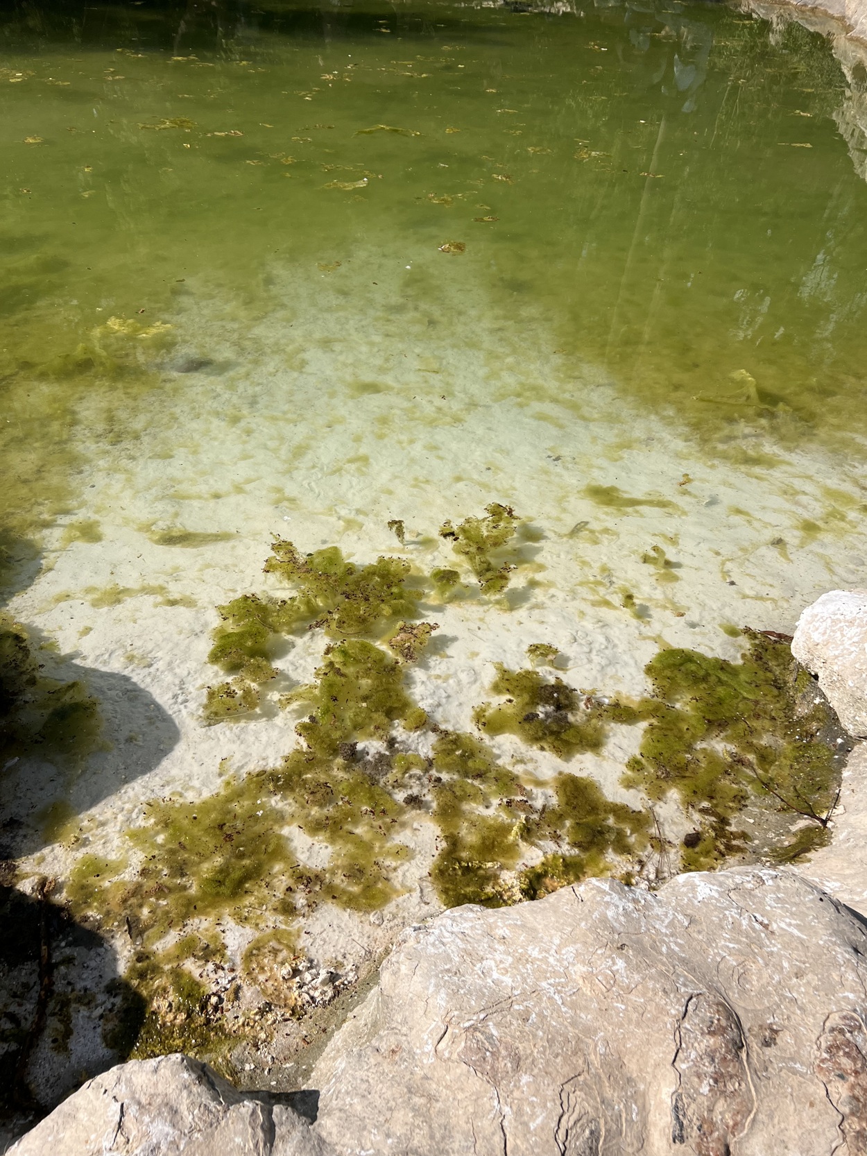 Εθνικός Κήπος σκουπίδια Δούκας δήμαρχος