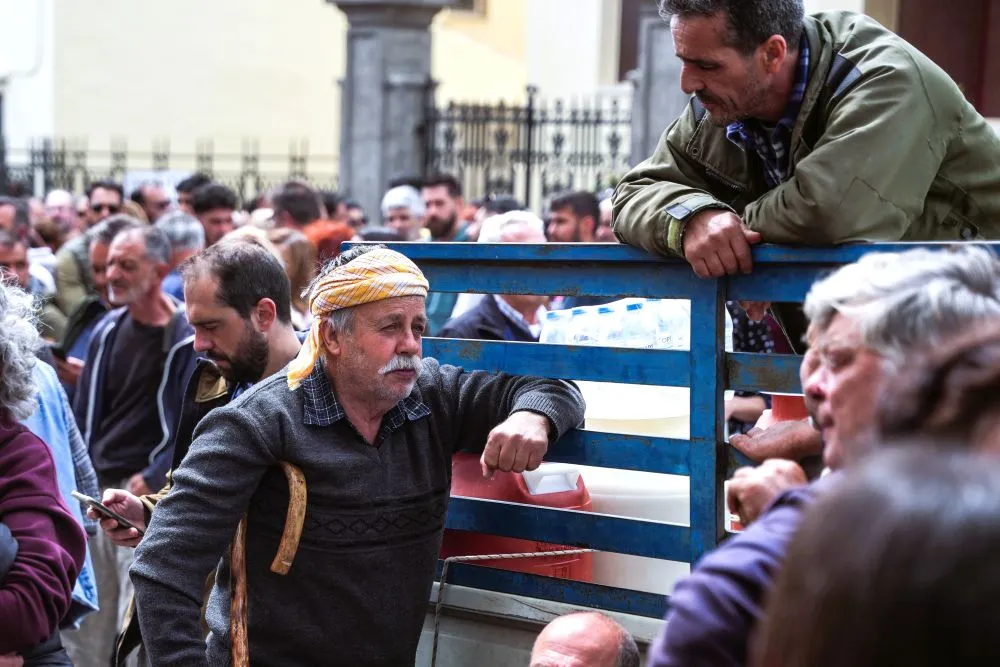 Λέσβος σε οικονομική ασφυξία: Κλειστά τυροκομεία, «παγωμένες» αποζημιώσεις και 250 τόνοι γάλα στον «αέρα»