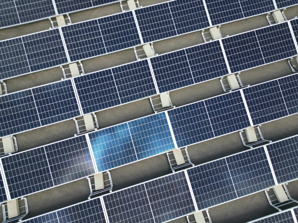 pexels giantasparagus 35501725