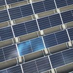 pexels giantasparagus 35501725