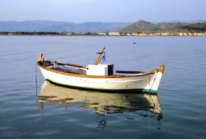 Πλήρης ψηφιοποίηση της έγκρισης του δικαιώματος δασμοφορολογικής ατέλειας για 12.000 επαγγελματίες αλιείς